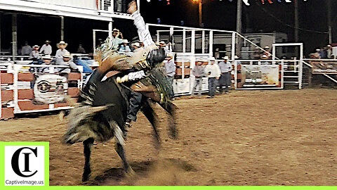 Bull Riding - 2024 White Deer Rodeo