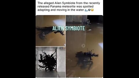 Alien symbiote from a Panama meteorite.