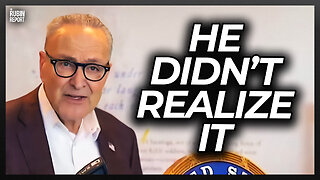 Reporter Makes Chuck Schumer Look Dumb w/ This Simple Question