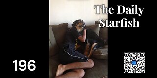The Daily Starfish #196 #news #2025 #uk #kirk