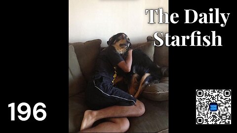The Daily Starfish #196 #news #2025 #uk #kirk