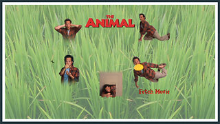 The Animal - DVD Menu