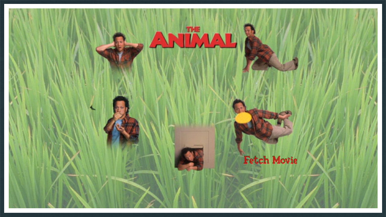 The Animal - DVD Menu