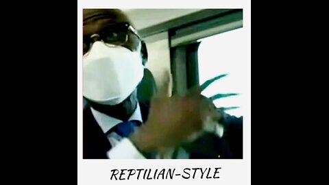 REPTILIAN-STYLE: COMPILATION