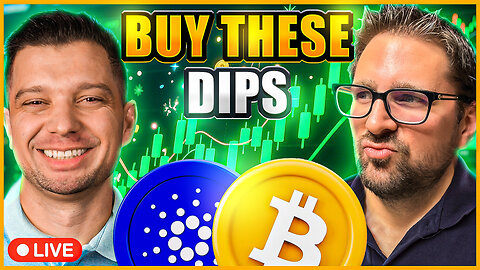Bitcoin and Alts Pullback: Buying Dips on These Altcoins!