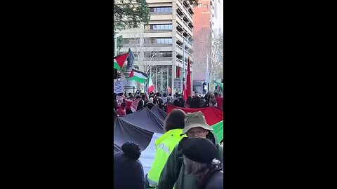 Free Free Palestine