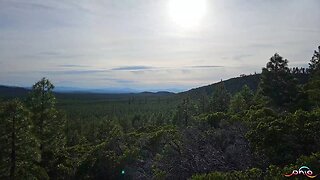 Hiking With PhLo 6