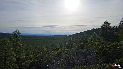 Hiking With PhLo 6