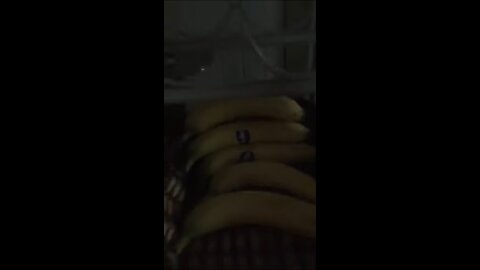 THE BANANA CAME FOR REVENGE!