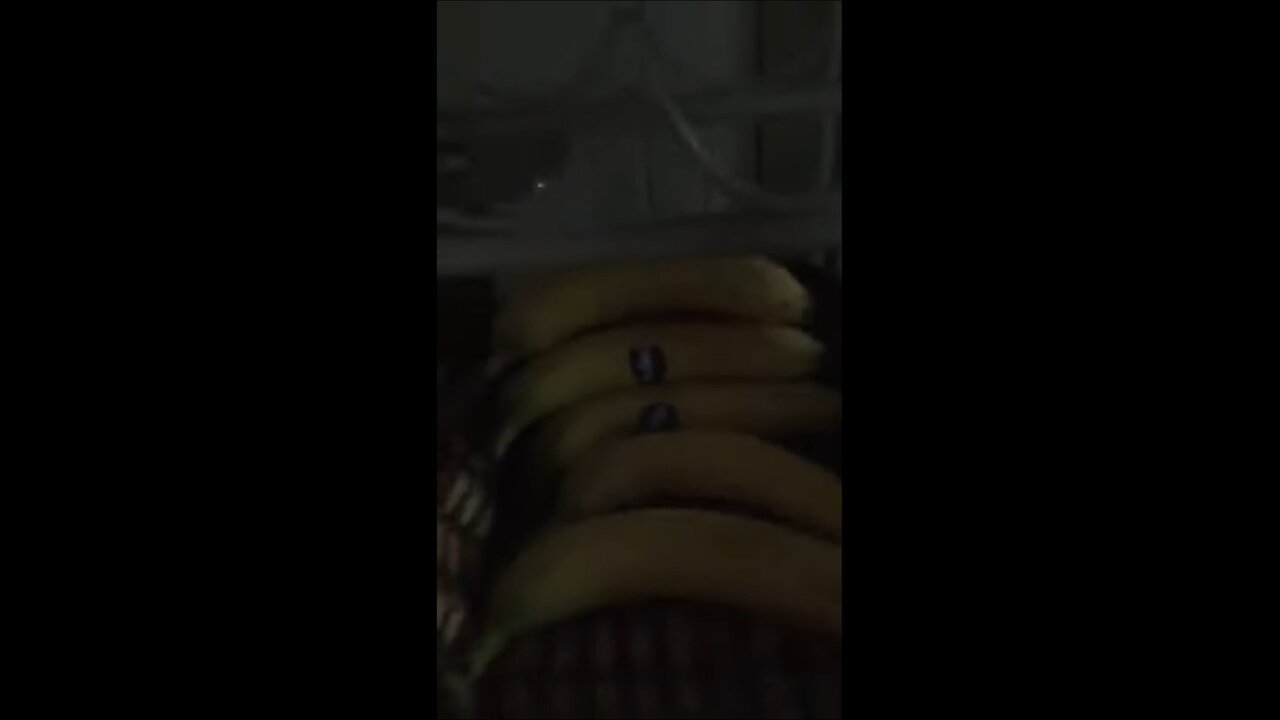 THE BANANA CAME FOR REVENGE!