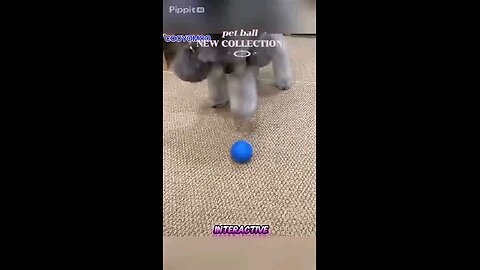 🐶⚡ Pets Go CRAZY Over This Smart Moving Ball! (Must Watch!) 🎾🐾