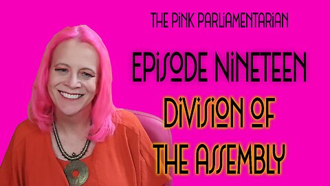 Division of the Question Cont'd (3) - The Pink Parliamentarian Ep. 18
