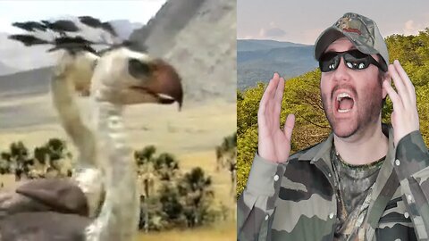 The Most Extreme - Awesome Ancestors (Tiger Wolf) - Reaction! (BBT)