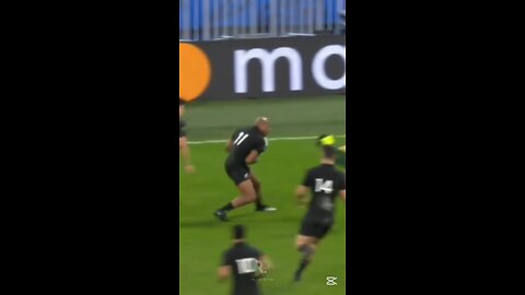 He Destroyed The Springboks!