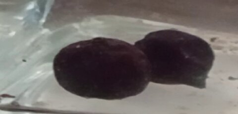 fo4 , #crash , #gamer , #Bethesda , #UPDATE,