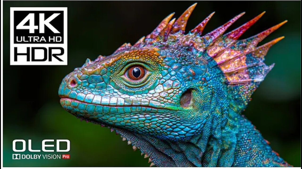 JAW DROPPING Dolby Vision 4K HDR 120 FPS