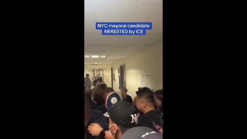 NYC mayoral hopeful Brad Lander arrested by ICE at immigration court hearing.