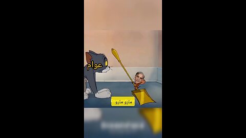 funny video