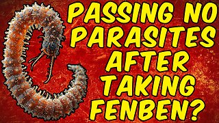 Why You're Passing No Parasites After Taking Fenbendazole!