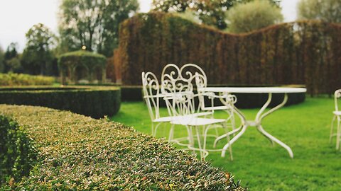 Creating calm? Backyard retreats lead home trends this year