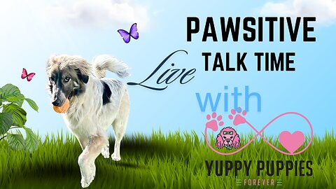 We are showcasing ALL the adoptable rescues AND some rapid fire about our dogs