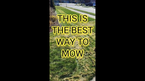 ThevBEST way to mow a lawn