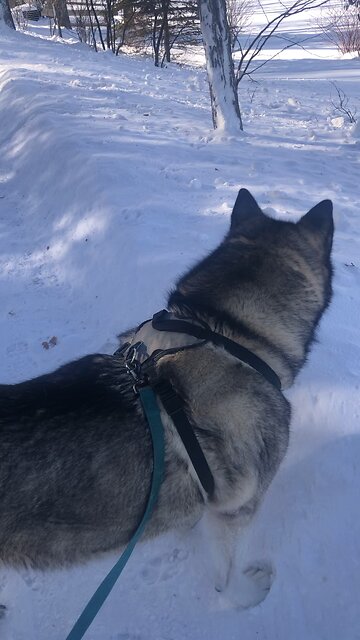 Thursday January 29, Blessed are those who trust in the Lord.