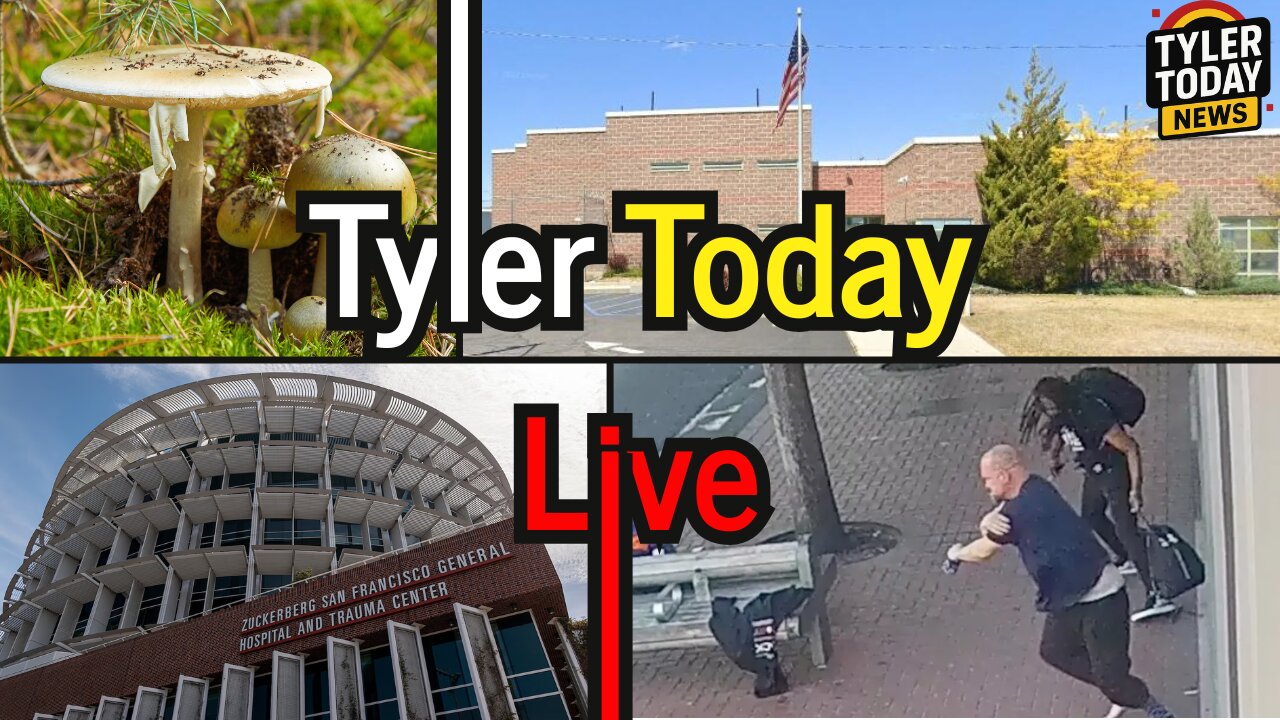 Can words be met with physical responses? CA warns about mushrooms and more | TT Live 12/8/2025