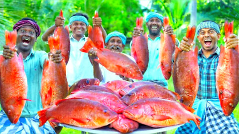 RED SNAPPER FISH | Big Fish Grill Recipe Cooking in Village | Fish Fry in Clay | Ancient Cooking