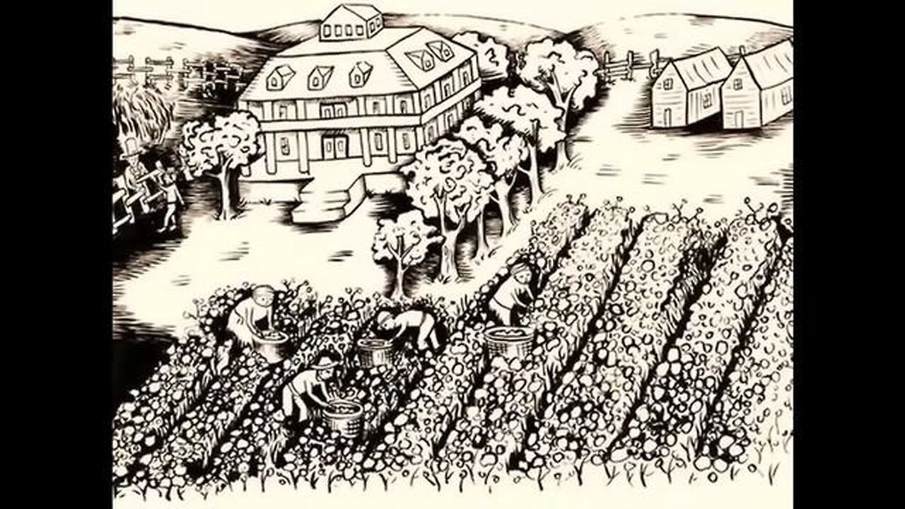 Larken Rose-The Jones Plantation