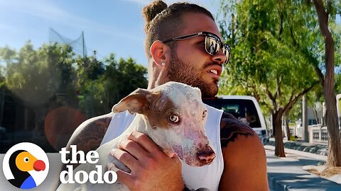 Couple Rescues Intentionally Burned Dog And Earns Her Trust | The Dodo