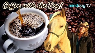 Save A Horse - Ride A Podcaster with Susan Parker EP978