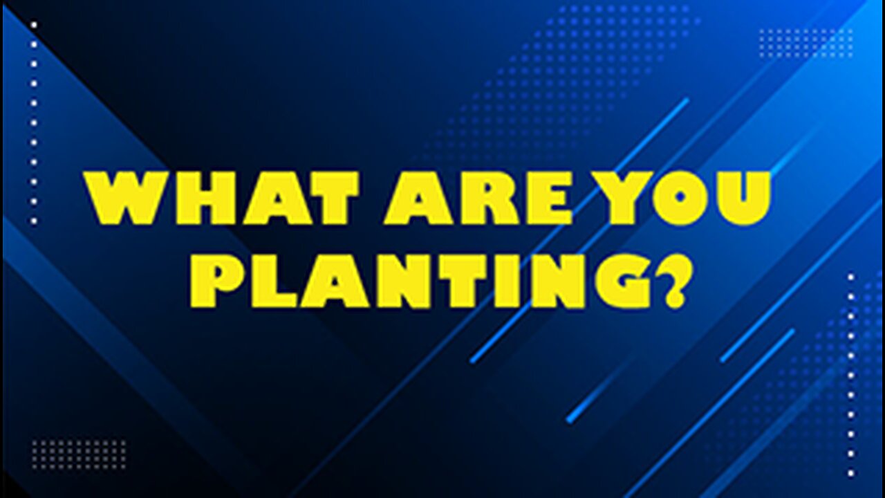 WHAT ARE YOU PLANTING // Bryan Emerson