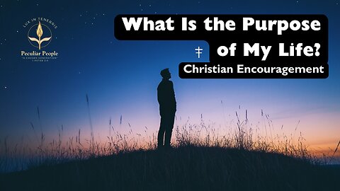 What Is the Purpose of My Life?