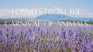 Relaxing Flute Classical Music - Fossiles from the Carnival of Animals