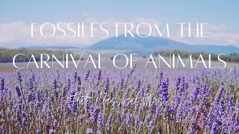 Relaxing Flute Classical Music - Fossiles from the Carnival of Animals