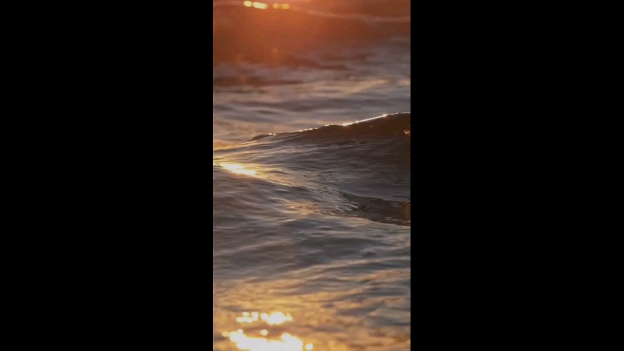 #foryoupage#viralvideo
