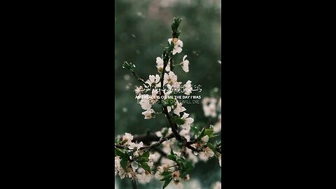 🔥Surah Maryam 19:33–35 سورة مريم 🌿➡️#quran #shorts #viral #trending #youtubeshorts #shortvideo