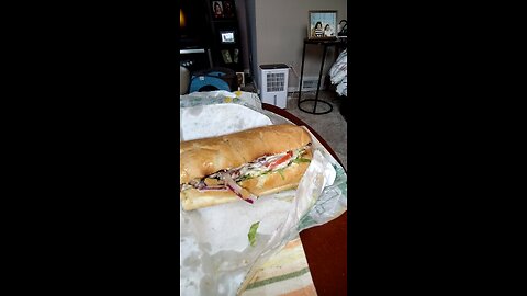 Meal, Subway, Telegraph Rd, Dbn, MI, 8/6/25
