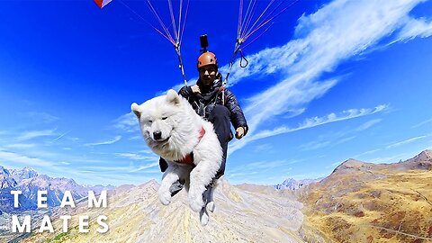 Dog And His Dad Sleep on a 9,400-Foot Mountain to Paraglide at Sunrise | The Dodo