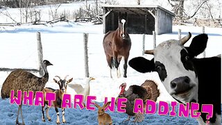 These Are The New ANIMALS We ARE Adding To Our FARM This YEAR!