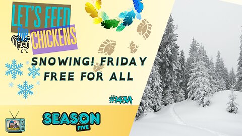 Snowing! Friday Free For All | Let's Feed the Chickens | E143a