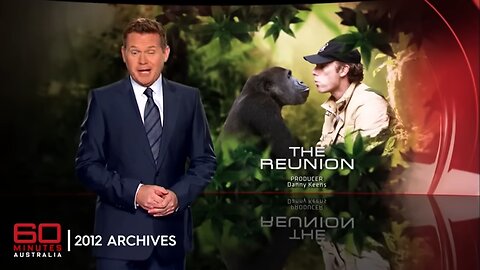 Gorilla remembers zookeeper who raised him