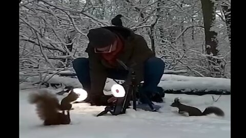 A Year in Summary: How quickly a year goes by!