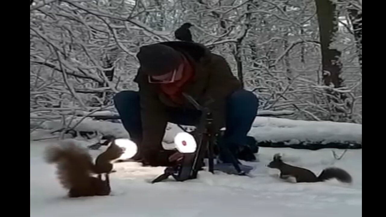 A Year in Summary: How quickly a year goes by!