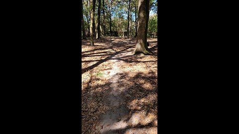 Dagr The Schnauzer - At the Doggie Park