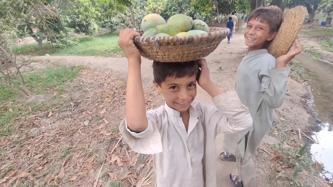 India Se Chori Kya Gya Aam