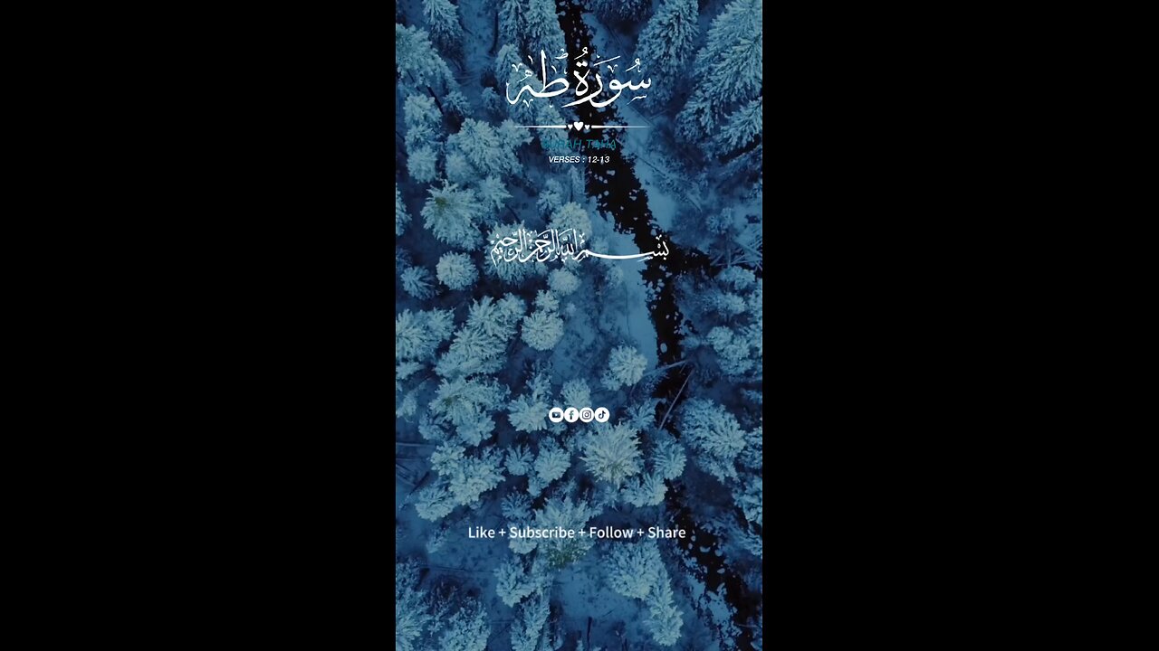 peaceful quran recitation