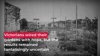 Shocking Seeds With Electricity Triples Growth — Why Is This Science "Forbidden"?