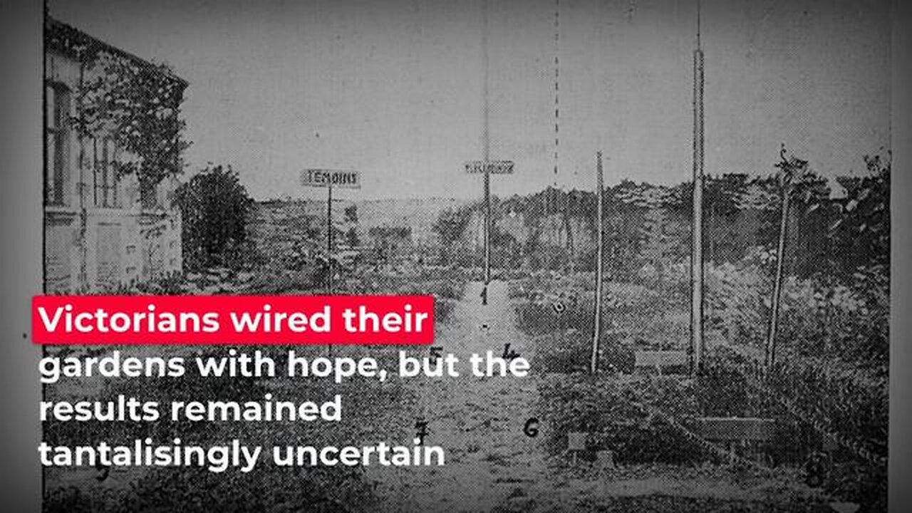 Shocking Seeds With Electricity Triples Growth — Why Is This Science "Forbidden"?